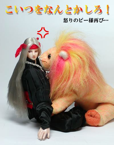 ピサロ　ライオン　トップ