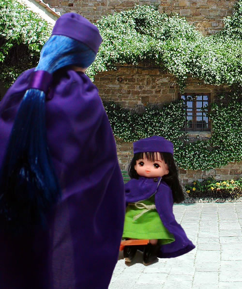 ＤＱ５　二人の主人公　１